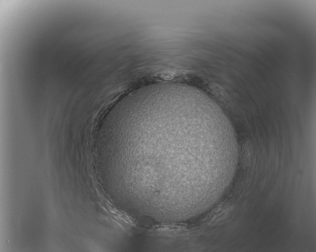 X0000060241105200511041249