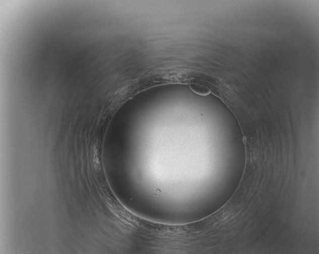 X0000060241106200511041249