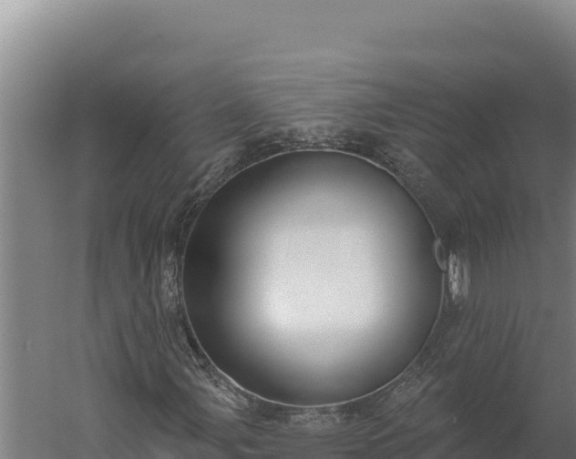 X0000060241107200511041249