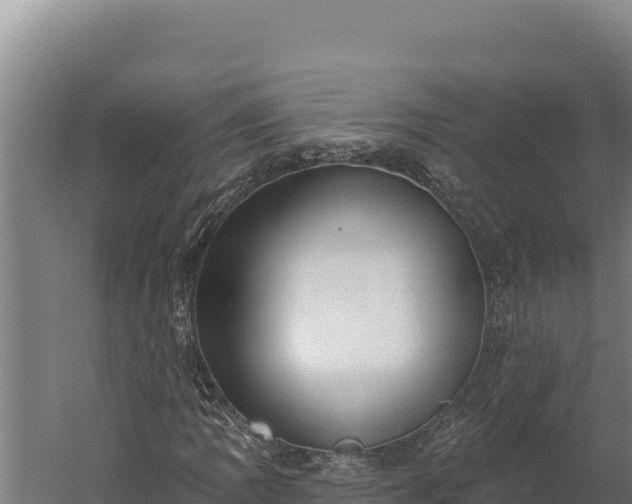 X0000060241109200511041249