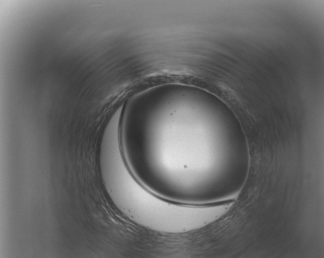 X0000060241110200511041249