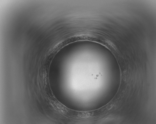 X0000060241111200511041249