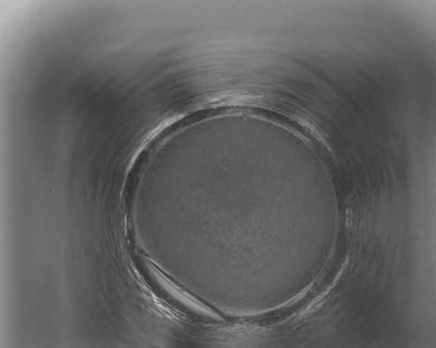 X0000060241117200511041249