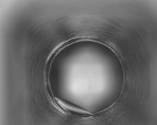 X0000060241120200511041249