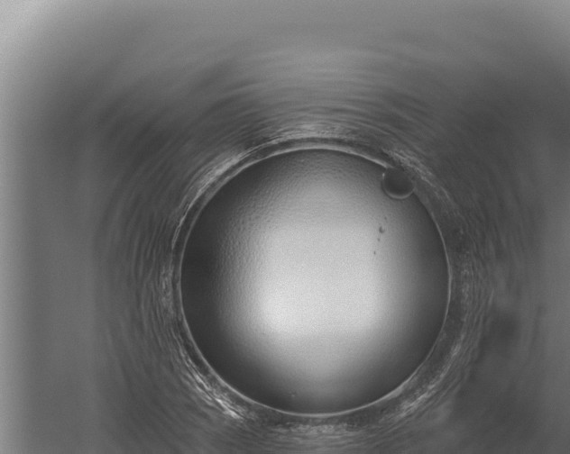 X0000060241121200511041249