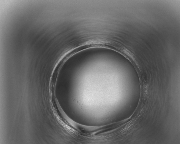 X0000060241124200511041249