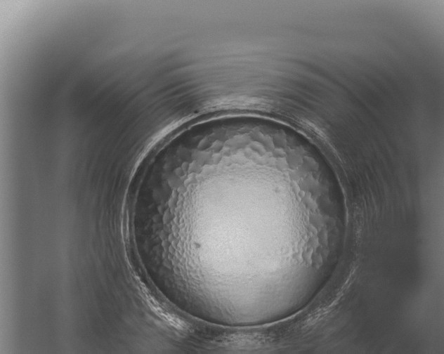 X0000060241125200511041250