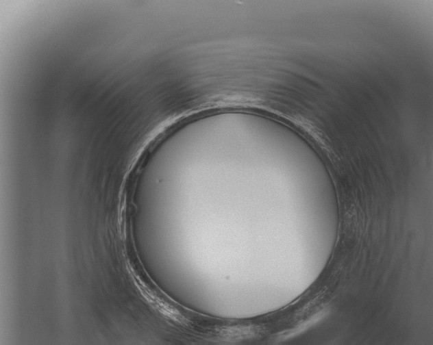 X0000060241126200511041250