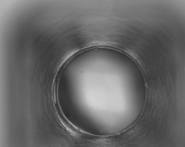 X0000060241127200511041250