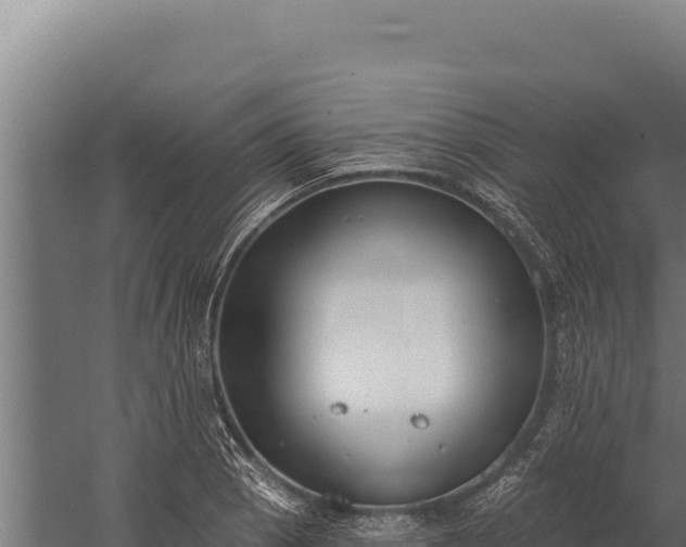 X0000060241129200511041250