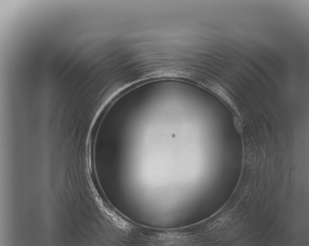 X0000060241132200511041250