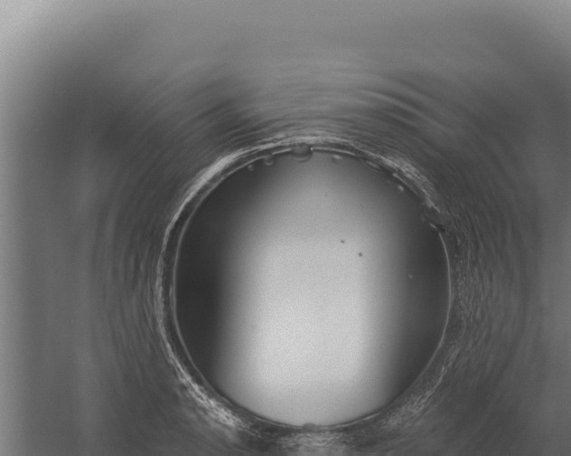 X0000060241134200511041250