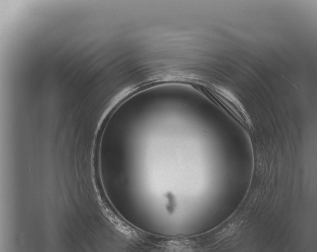 X0000060241138200511041250