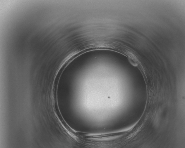 X0000060241141200511041250