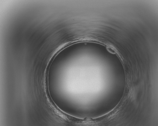 X0000060241142200511041250