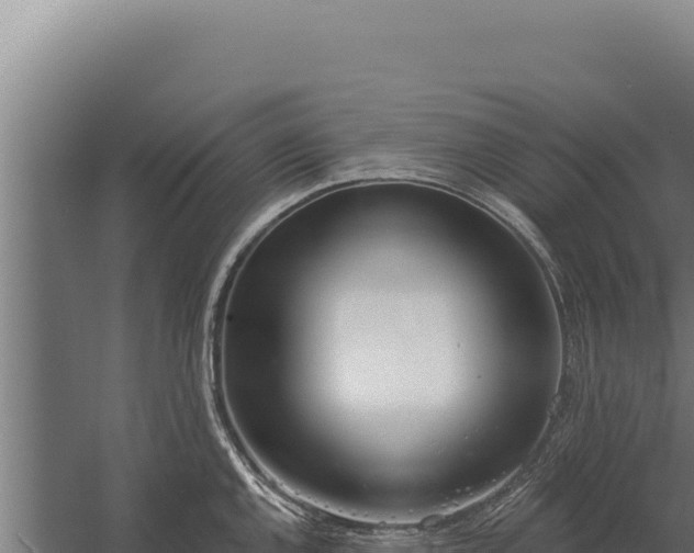 X0000060241144200511041250