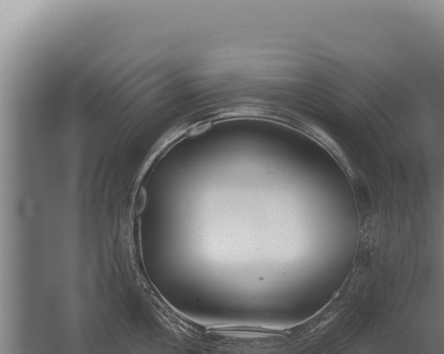 X0000060241146200511041250