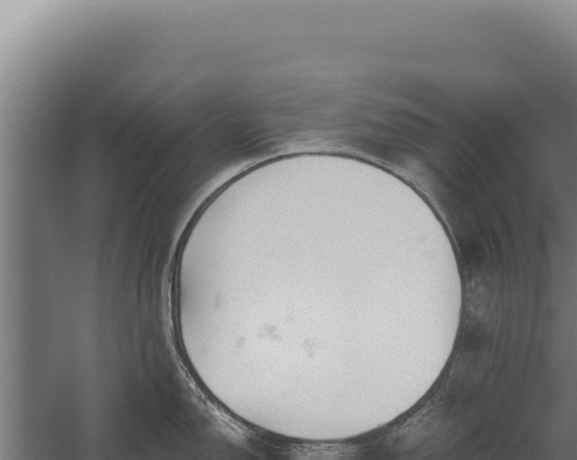 X0000060241150200511041250