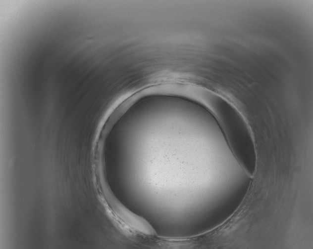 X0000060241152200511041250