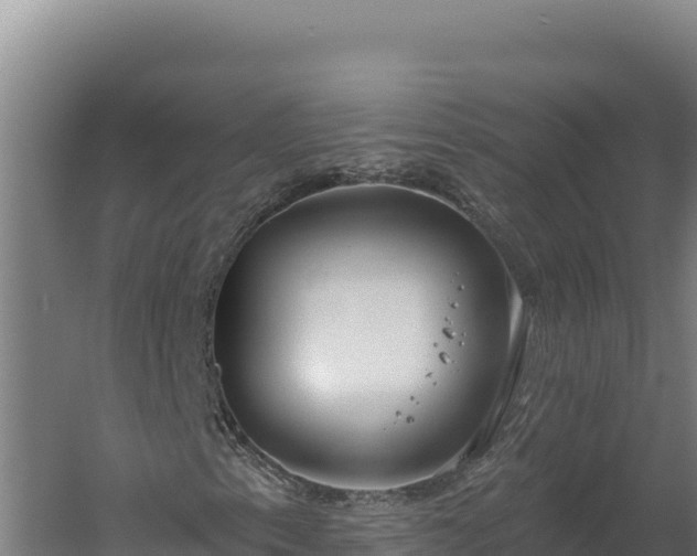 X0000060241153200511041249