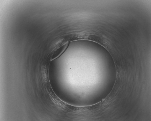 X0000060241154200511041249