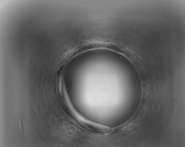 X0000060241157200511041249