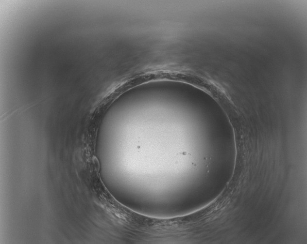 X0000060241159200511041249