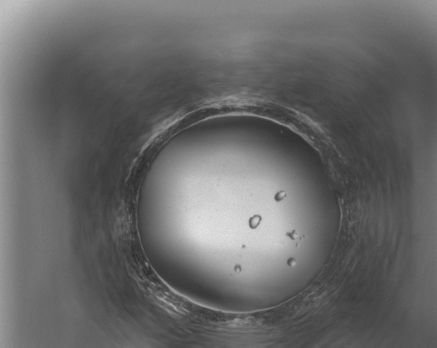 X0000060241160200511041249