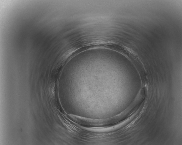 X0000060241161200511041249