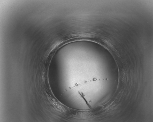 X0000060241163200511041249