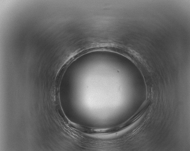 X0000060241165200511041249