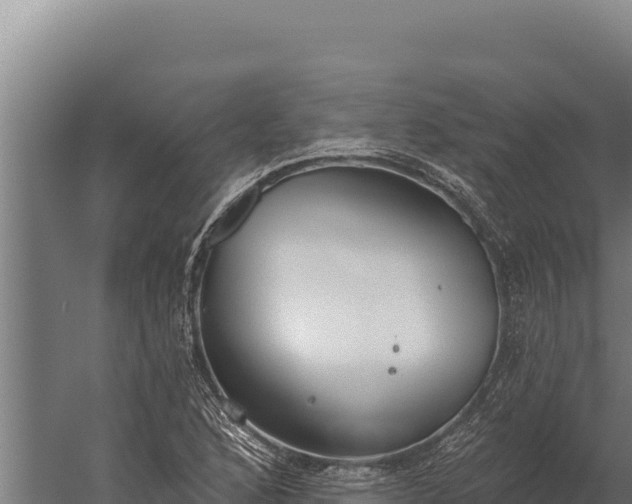 X0000060241168200511041249