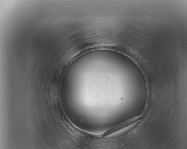 X0000060241169200511041249