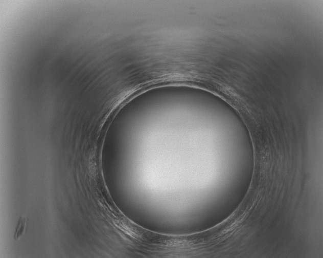 X0000060241170200511041249