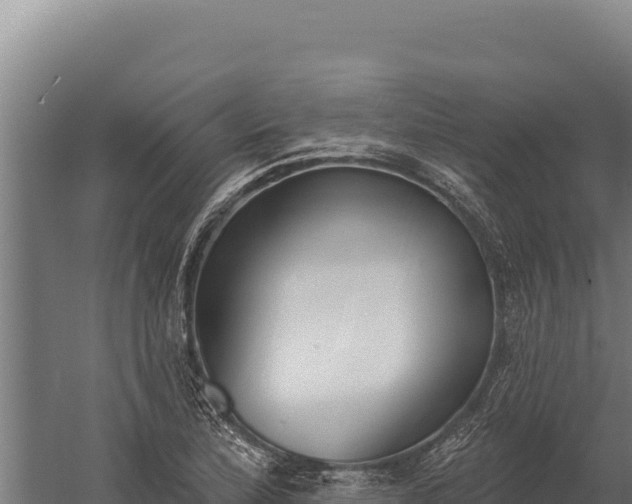 X0000060241172200511041249