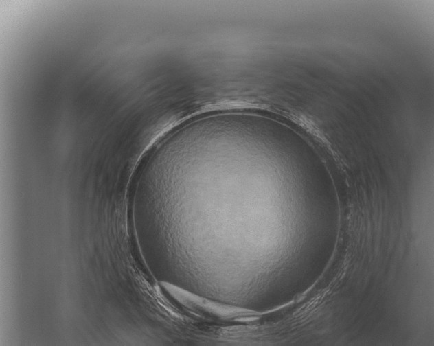 X0000060241173200511041249