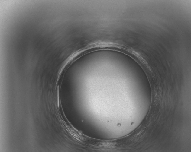 X0000060241175200511041249