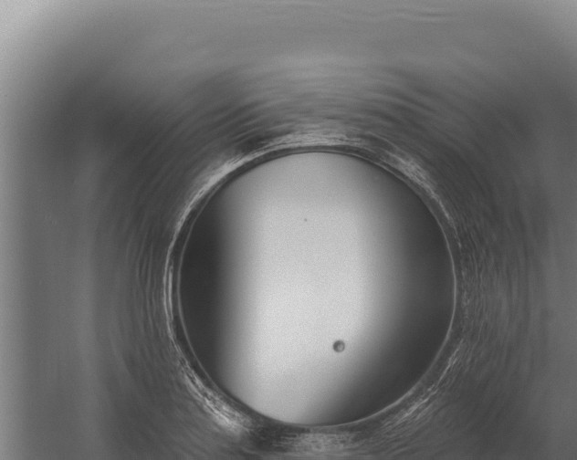 X0000060241179200511041249