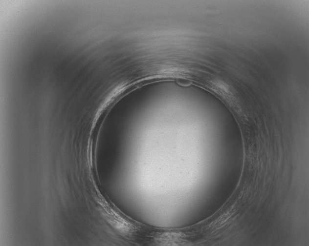 X0000060241180200511041249