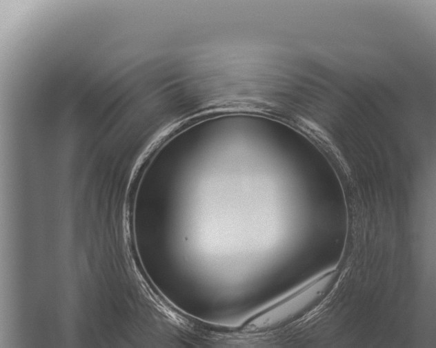 X0000060241188200511041249