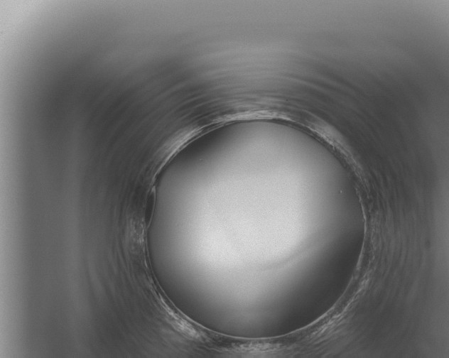 X0000060241193200511041248