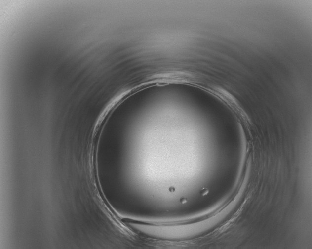 X0000060241196200511041248