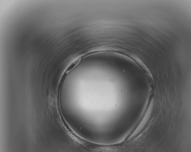 X0000060241197200511041248