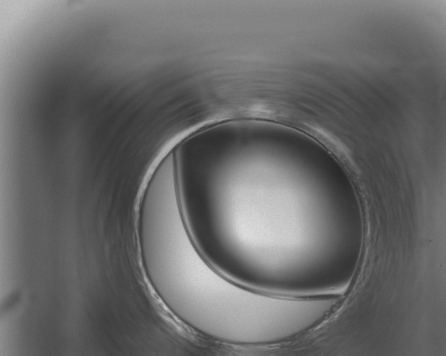 X0000060241200200511041248