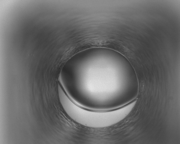 X0000060241202200511041248