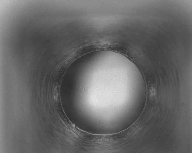 X0000060241204200511041248