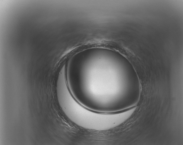 X0000060241206200511041248