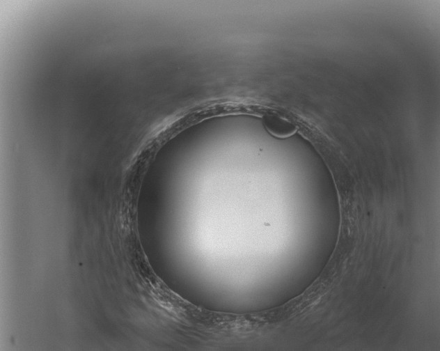 X0000060241207200511041248