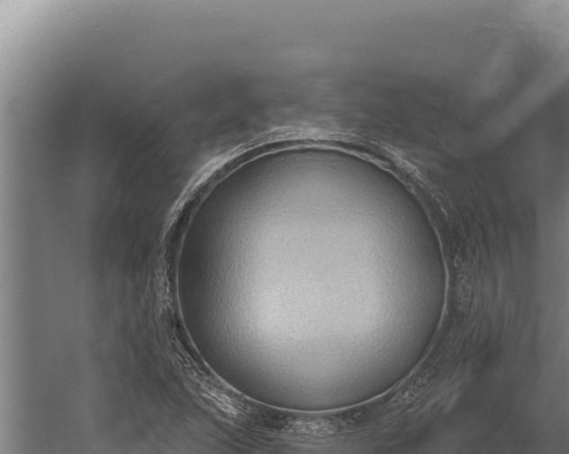 X0000060241215200511041248