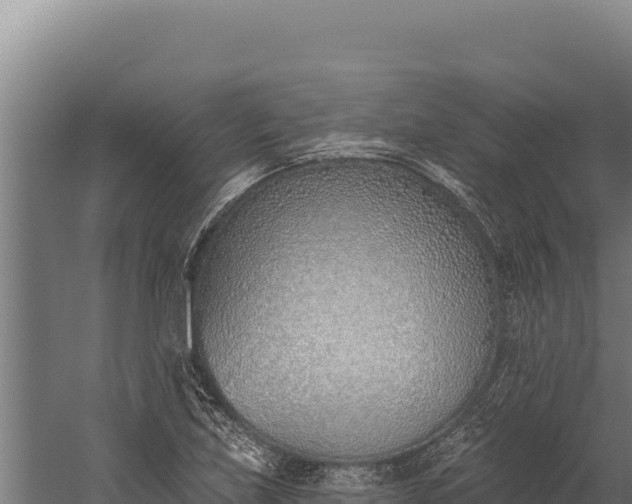 X0000060241219200511041248